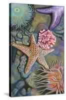 Tidepool Scene-Lantern Press-Stretched Canvas