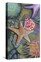 Tidepool Scene-Lantern Press-Stretched Canvas