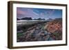 Tidepool-Lantern Press-Framed Art Print