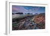 Tidepool-Lantern Press-Framed Art Print