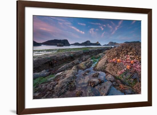 Tidepool-Lantern Press-Framed Premium Giclee Print