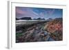 Tidepool-Lantern Press-Framed Art Print