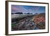 Tidepool-Lantern Press-Framed Art Print