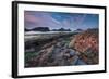 Tidepool-Lantern Press-Framed Art Print