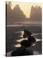 Tidepools and Seastacks, Shi Shi Beach, Olympic National Park, Washington, USA-Adam Jones-Stretched Canvas