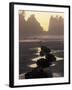 Tidepools and Seastacks, Shi Shi Beach, Olympic National Park, Washington, USA-Adam Jones-Framed Premium Photographic Print