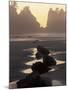 Tidepools and Seastacks, Shi Shi Beach, Olympic National Park, Washington, USA-Adam Jones-Mounted Premium Photographic Print