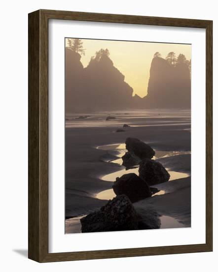 Tidepools and Seastacks, Shi Shi Beach, Olympic National Park, Washington, USA-Adam Jones-Framed Photographic Print