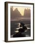 Tidepools and Seastacks, Shi Shi Beach, Olympic National Park, Washington, USA-Adam Jones-Framed Photographic Print