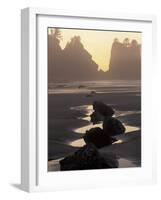 Tidepools and Seastacks, Shi Shi Beach, Olympic National Park, Washington, USA-Adam Jones-Framed Photographic Print