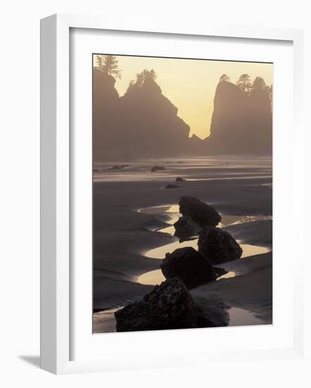 Tidepools and Seastacks, Shi Shi Beach, Olympic National Park, Washington, USA-Adam Jones-Framed Photographic Print