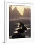 Tidepools and Seastacks, Shi Shi Beach, Olympic National Park, Washington, USA-Adam Jones-Framed Photographic Print