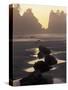 Tidepools and Seastacks, Shi Shi Beach, Olympic National Park, Washington, USA-Adam Jones-Stretched Canvas