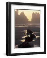 Tidepools and Seastacks, Shi Shi Beach, Olympic National Park, Washington, USA-Adam Jones-Framed Photographic Print