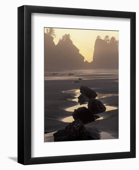 Tidepools and Seastacks, Shi Shi Beach, Olympic National Park, Washington, USA-Adam Jones-Framed Photographic Print