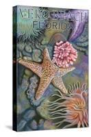 Tidepools - Vero Beach, Florida-Lantern Press-Stretched Canvas