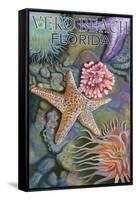 Tidepools - Vero Beach, Florida-Lantern Press-Framed Stretched Canvas