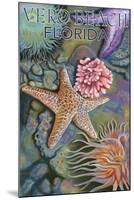 Tidepools - Vero Beach, Florida-Lantern Press-Mounted Art Print