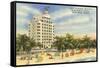 Tides Hotel, Miami Beach, Florida-null-Framed Stretched Canvas