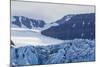 Tidewater Glacier, Hornsund, Spitsbergen, Svalbard Archipelago, Norway, Scandinavia, Europe-Michael Nolan-Mounted Photographic Print