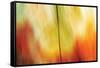 Tie Dye I-Andrew Michaels-Framed Stretched Canvas