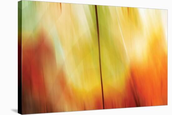Tie Dye I-Andrew Michaels-Stretched Canvas