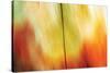 Tie Dye I-Andrew Michaels-Stretched Canvas