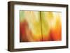 Tie Dye I-Andrew Michaels-Framed Photographic Print