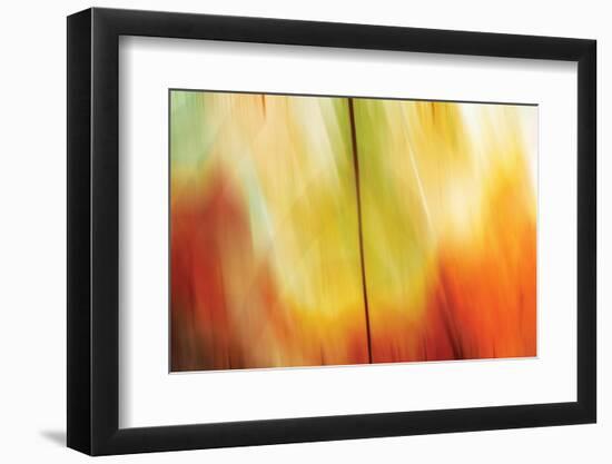 Tie Dye I-Andrew Michaels-Framed Photographic Print