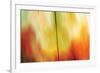 Tie Dye I-Andrew Michaels-Framed Photographic Print