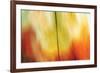 Tie Dye I-Andrew Michaels-Framed Photographic Print