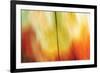 Tie Dye I-Andrew Michaels-Framed Photographic Print