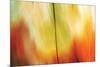 Tie Dye I-Andrew Michaels-Mounted Photographic Print