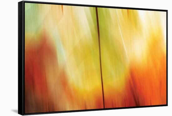 Tie Dye I-Andrew Michaels-Framed Stretched Canvas