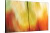 Tie Dye I-Andrew Michaels-Stretched Canvas