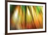 Tie Dye II-Andrew Michaels-Framed Photographic Print