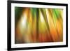 Tie Dye II-Andrew Michaels-Framed Photographic Print