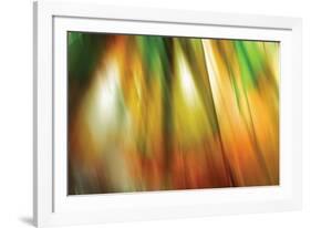 Tie Dye II-Andrew Michaels-Framed Photographic Print