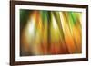 Tie Dye II-Andrew Michaels-Framed Photographic Print