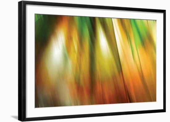 Tie Dye II-Andrew Michaels-Framed Photographic Print