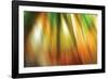 Tie Dye II-Andrew Michaels-Framed Photographic Print