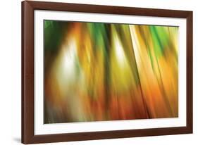 Tie Dye II-Andrew Michaels-Framed Photographic Print