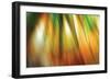 Tie Dye II-Andrew Michaels-Framed Photographic Print