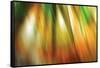 Tie Dye II-Andrew Michaels-Framed Stretched Canvas