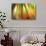 Tie Dye II-Andrew Michaels-Photographic Print displayed on a wall