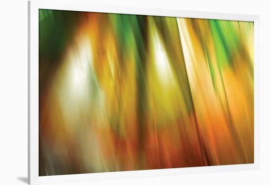 Tie Dye II-Andrew Michaels-Framed Photographic Print