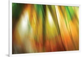 Tie Dye II-Andrew Michaels-Framed Photographic Print