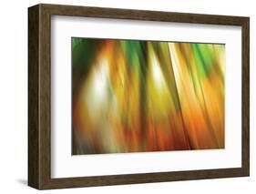 Tie Dye II-Andrew Michaels-Framed Photographic Print