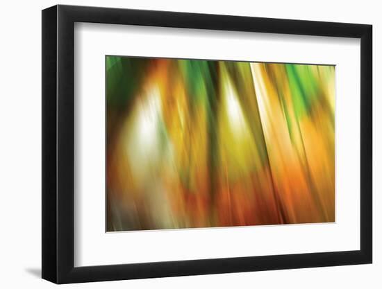 Tie Dye II-Andrew Michaels-Framed Photographic Print