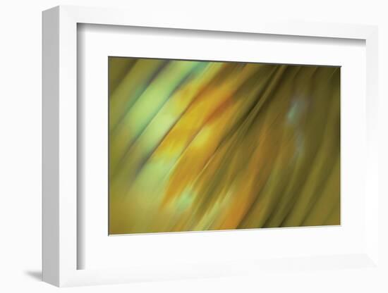 Tie Dye III-Andrew Michaels-Framed Photographic Print